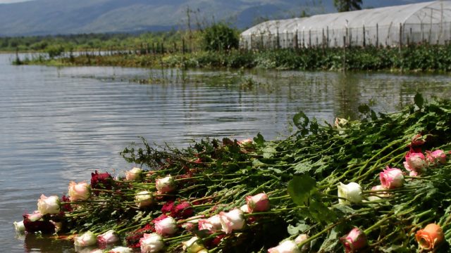 Lake Naivasha's Flooding: Impl