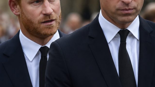 Prince Harry Voices Concerns Over Prince William's Future as King