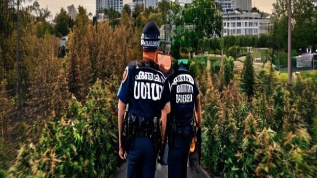 Arkansas State Police Intercept Major Marijuana Haul on I-40