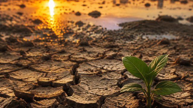 Europe's Rising Temperatures: Understanding the Heat Crisis